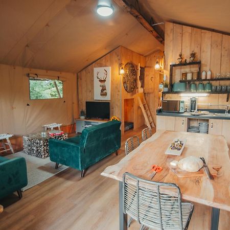Cosy Forest Lodge Penrhos  Esterno foto