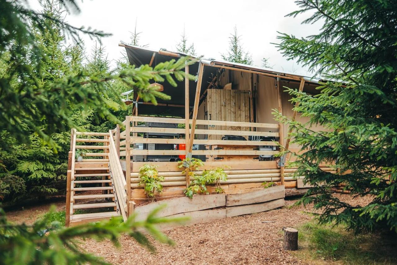 Cosy Forest Lodge Penrhos  Esterno foto