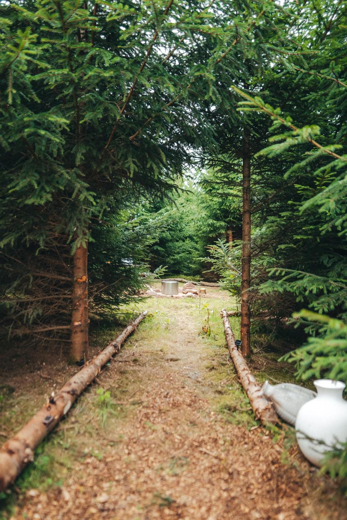 Cosy Forest Lodge Penrhos  Esterno foto